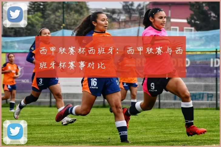 西甲联赛杯西班牙：西甲联赛与西班牙杯赛事对比