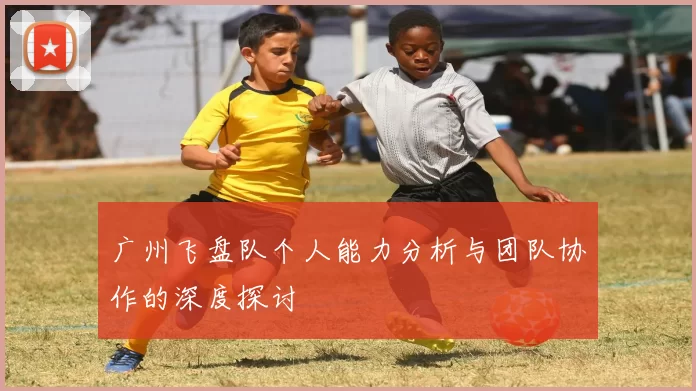 广州飞盘队个人能力分析与团队协作的深度探讨