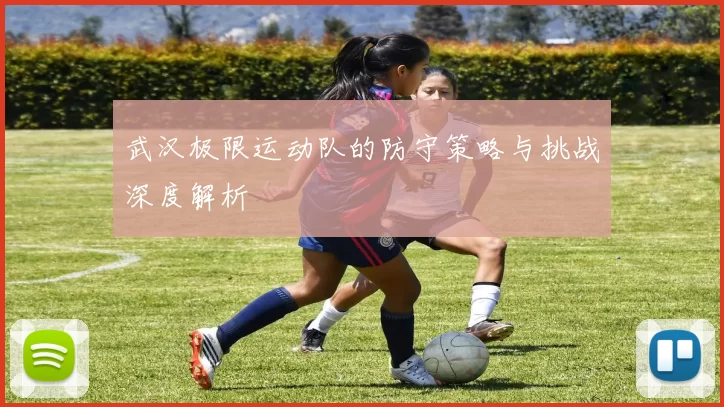 武汉极限运动队的防守策略与挑战深度解析
