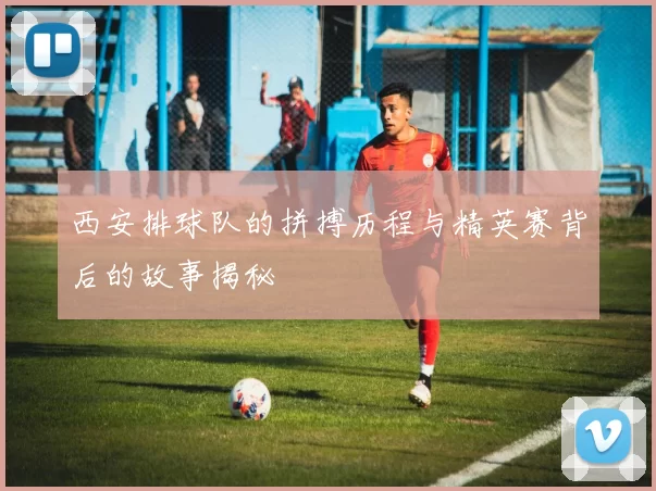 西安排球队的拼搏历程与精英赛背后的故事揭秘