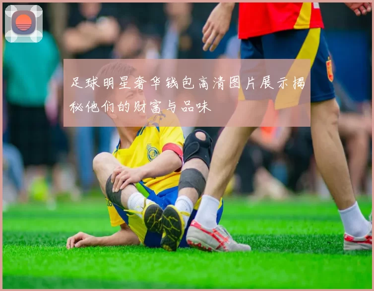 足球明星奢华钱包高清图片展示揭秘他们的财富与品味