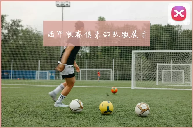 西甲联赛俱乐部队徽展示