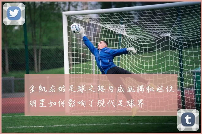 金凯龙的足球之路与成就揭秘这位明星如何影响了现代足球界
