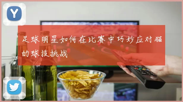 足球明星如何在比赛中巧妙应对猫的球技挑战