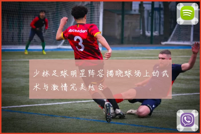 少林足球明星阵容揭晓球场上的武术与激情完美结合