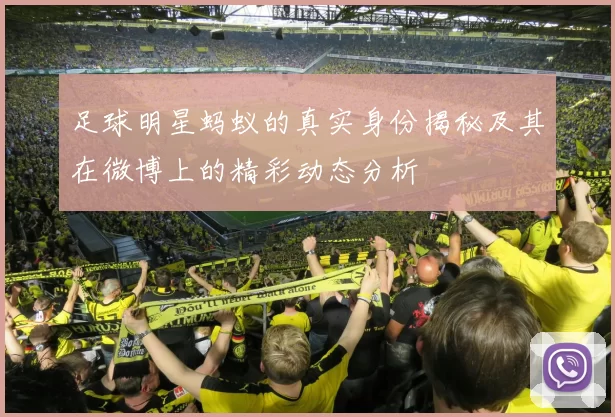 足球明星蚂蚁的真实身份揭秘及其在微博上的精彩动态分析