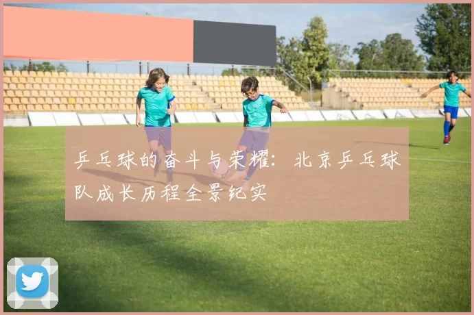 乒乓球的奋斗与荣耀：北京乒乓球队成长历程全景纪实