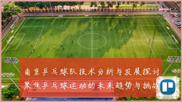 南京乒乓球队技术分析与发展探讨聚焦乒乓球运动的未来趋势与挑战