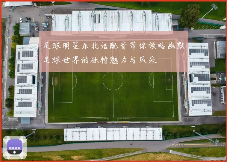足球明星东北话配音带你领略幽默足球世界的独特魅力与风采