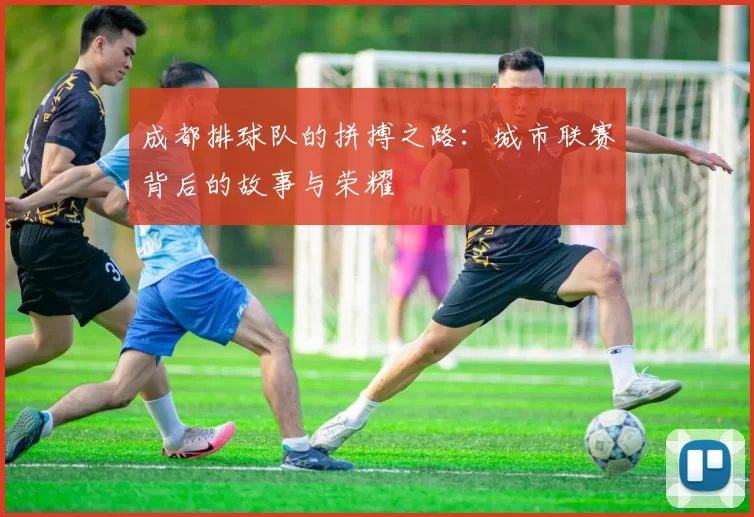 成都排球队的拼搏之路：城市联赛背后的故事与荣耀