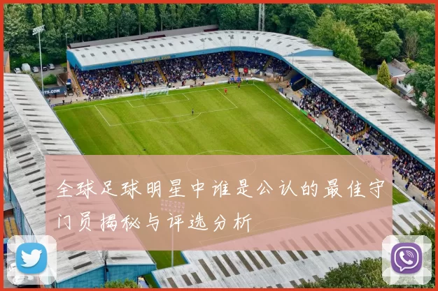 全球足球明星中谁是公认的最佳守门员揭秘与评选分析
