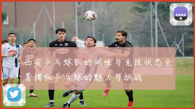 西安乒乓球队的训练与竞技状态全景揭秘乒乓球的魅力与挑战