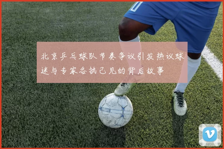 北京乒乓球队节奏争议引发热议球迷与专家各执己见的背后故事
