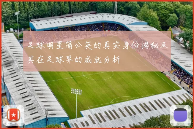 足球明星蒲公英的真实身份揭秘及其在足球界的成就分析
