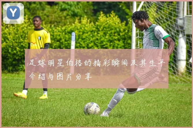足球明星伯格的精彩瞬间及其生平介绍与图片分享