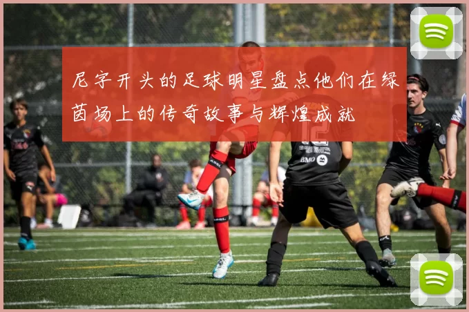 尼字开头的足球明星盘点他们在绿茵场上的传奇故事与辉煌成就