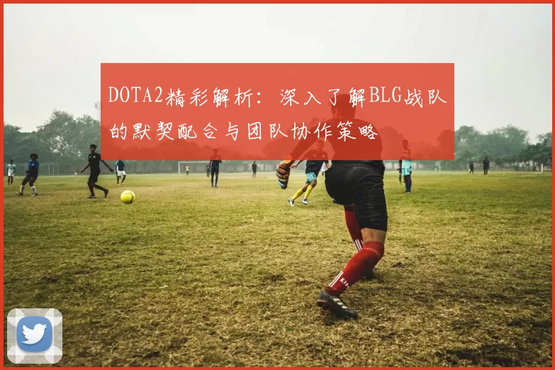 DOTA2精彩解析：深入了解BLG战队的默契配合与团队协作策略
